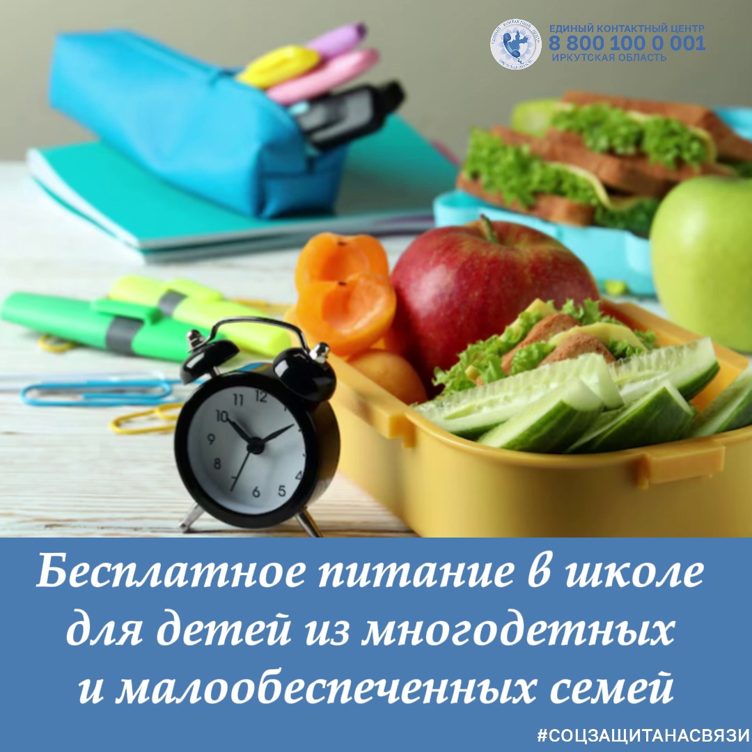 Бесплатное питание в школе для детей из многодетных и малообеспеченных семей в Иркутской области